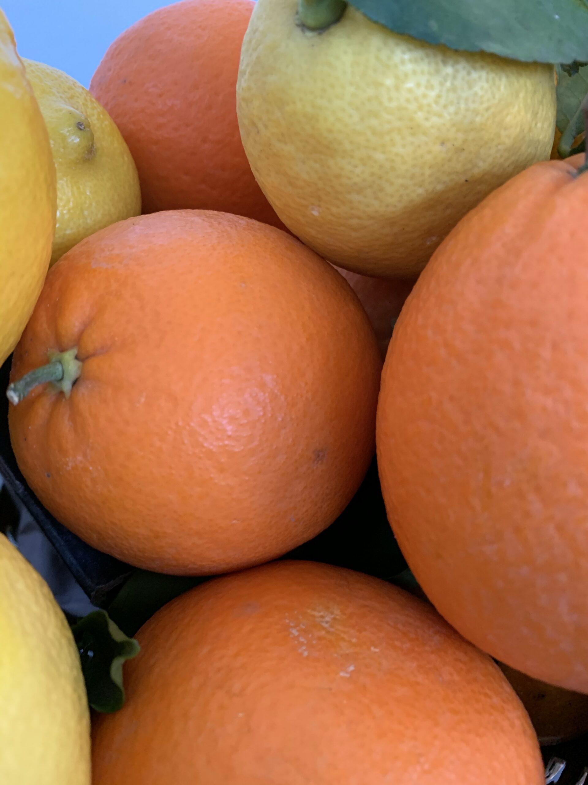 Passione per la frutta e la verdura