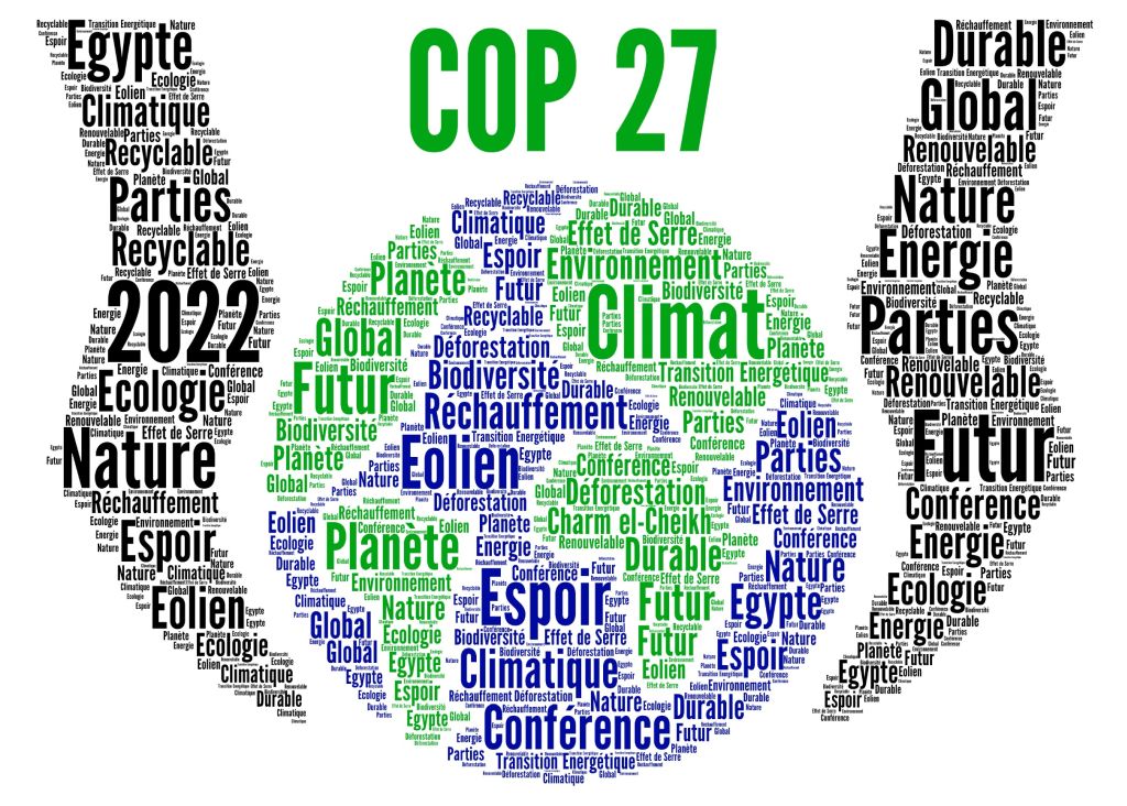 COP 27 – fashion