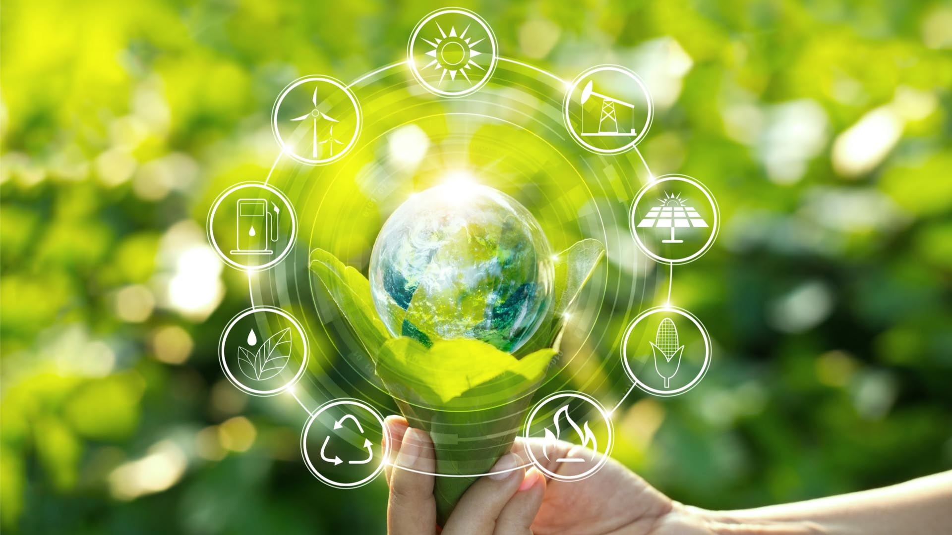 Cos’è una catena di approvvigionamento sostenibile?